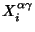$X_i^{\alpha \gamma}$
