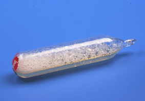 coarsening of bubbles