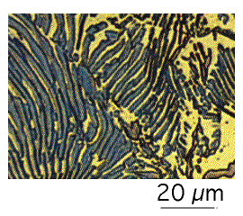 Microstructure of pearlite