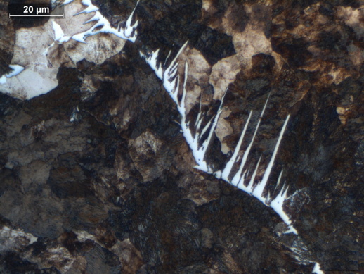 Widmanstatten ferrite in steel