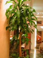 THERMEC, Madrid, Spain