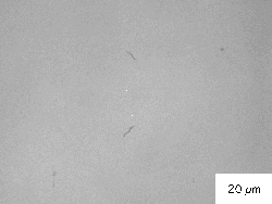 \includegraphics[width=0.45\textwidth]{1000unetched.eps}