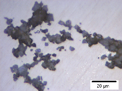 \includegraphics[width=0.45\textwidth]{Trojahn2.eps}