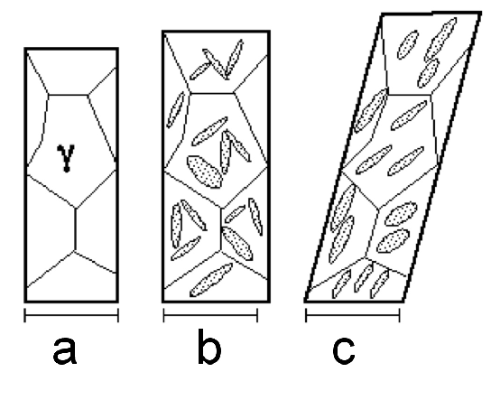 \includegraphics[width=0.98\linewidth]{shape.eps}