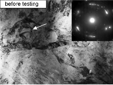 \includegraphics[width=0.7\textwidth]{Mitamura_before.eps}
