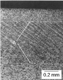 \includegraphics[width=0.45\textwidth]{Osterlund_2a.eps}