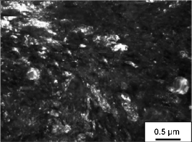 \includegraphics[width=0.7\textwidth]{Mitamura_after2.eps}