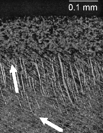 \includegraphics[width=0.65\textwidth]{Lund_light.eps}