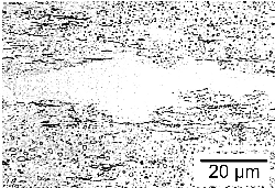 \includegraphics[width=0.45\textwidth]{Swahn_1.eps}