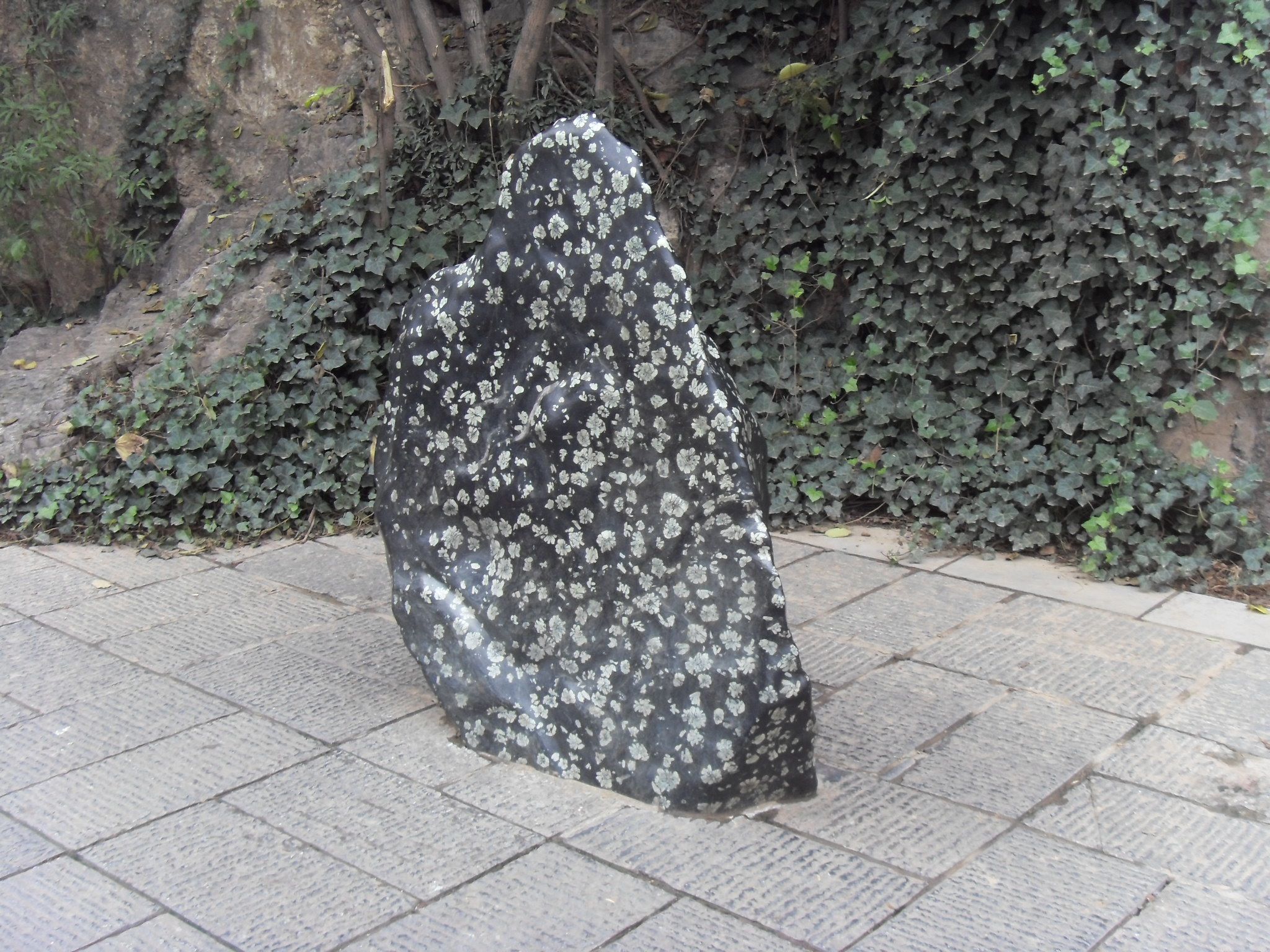 Longmen Grottoes, Luoyang, China - 1636