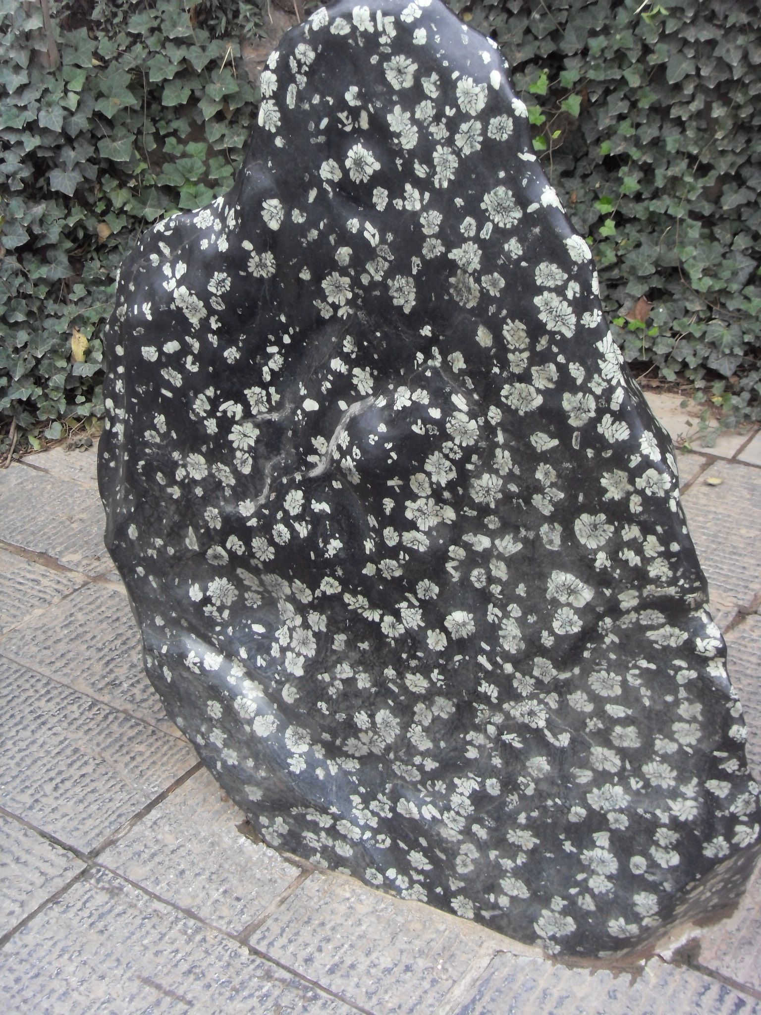 Longmen Grottoes, Luoyang, China - 1639