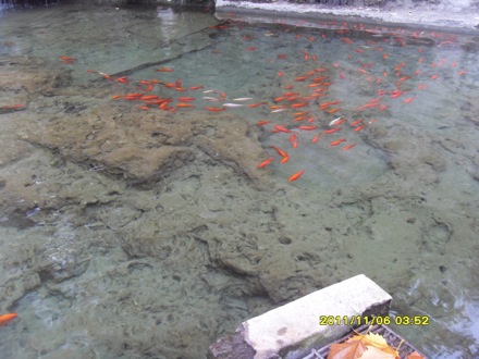 Longmen Grottoes, Luoyang, China - 1611