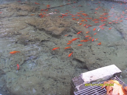 Longmen Grottoes, Luoyang, China - 1612