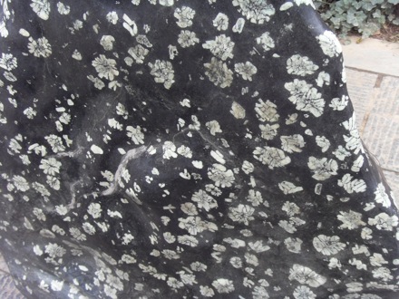 Longmen Grottoes, Luoyang, China - 1638