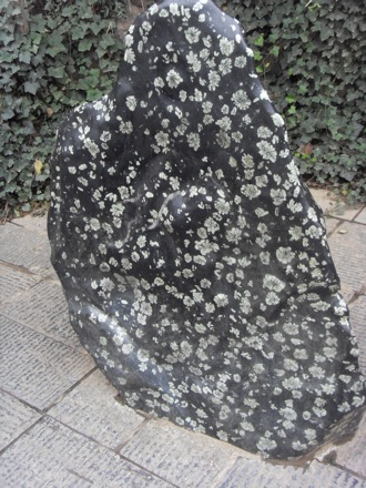 Longmen Grottoes, Luoyang, China - 1639