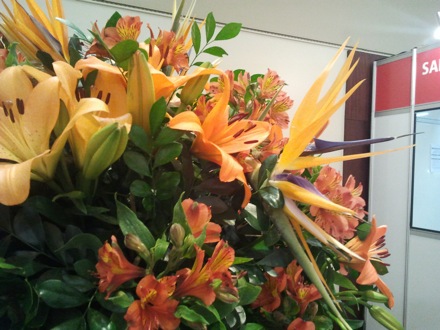 Harry Bhadeshia in Brazil, metallurgy