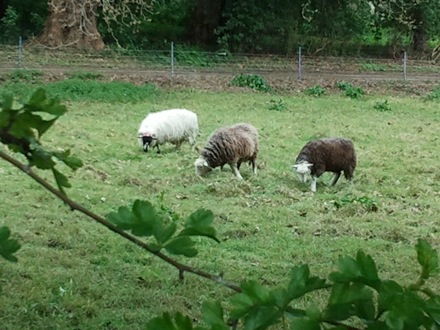 Bij-Na Kim's birthday