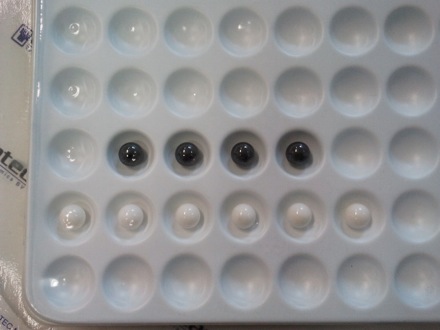 Harry Bhadeshia at the Catholic University of Louvain, Belgium