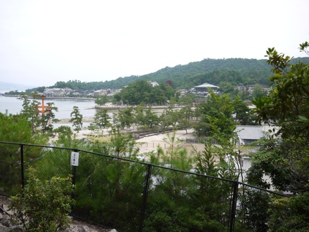 Mathew Peet in Japan