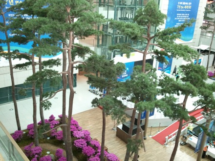 GIFT, POSTECH, Korea, Orlando, Cambridge, puncture, Bangkok