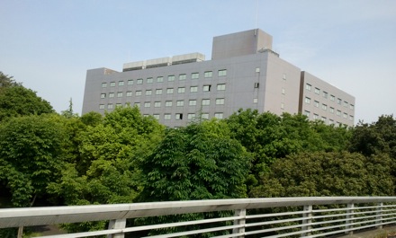 Harry Bhadeshia at NIMS in Japan, 2012