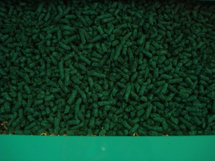 Paralympics, London 2012, Olympics, Harry Bhadeshia, BP