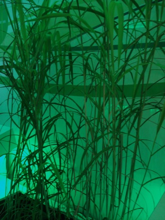 Paralympics, London 2012, Olympics, Harry Bhadeshia, BP