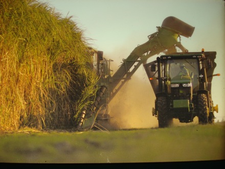 Paralympics, London 2012, Olympics, Harry Bhadeshia, BP