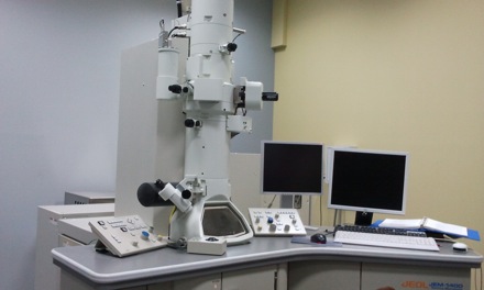 Harry Bhadeshia in Russia, Olga Ushakova, Igor Abrikosov, Sergei Kaloshkin, Tim O'Connor, MISiS, National University of Science and Technology