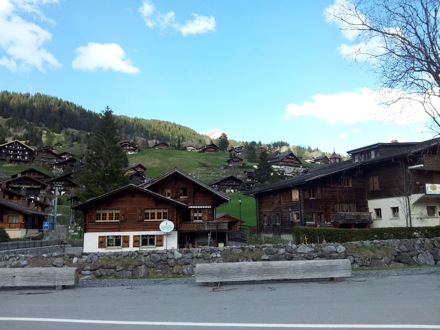 Ed Pickering, Switzerland