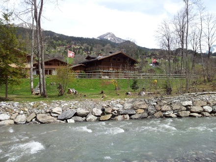 Ed Pickering, Switzerland