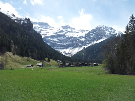 Ed Pickering, Switzerland