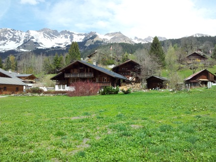 Ed Pickering, Switzerland