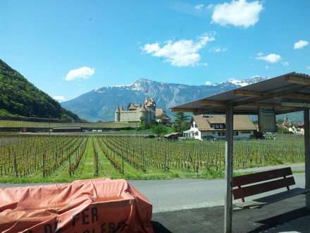 Ed Pickering, Switzerland