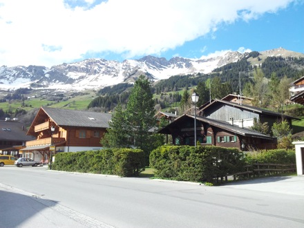 Ed Pickering, Switzerland