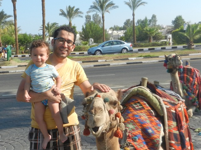 Computational Metallurgy Laboratory, Phase Transformations and Complex Properties Group