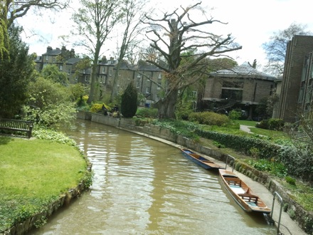 sunshine in Cambridge
