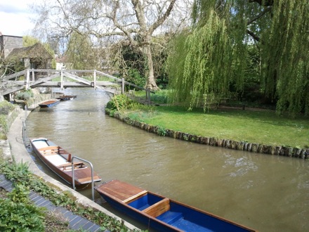 sunshine in Cambridge