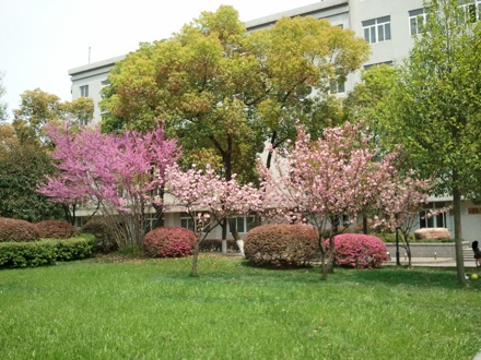 2nd UK-China Steel Symposium, Wuhan, April 2012