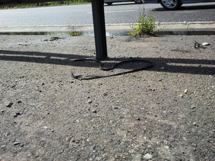accident on M11 motorway