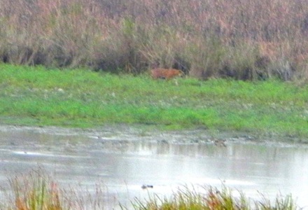 PT Group at Cambridge University, Computational Metallurgy Group at POSTECH