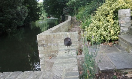 Dilatometer, Grapes, Ration Sweets, Superbainite, Whittle, Moorhen, James Nygaard, 2012-08-28 13.37.58