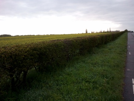 ironmongers, Cardiff University, Loughborough, EPSRC