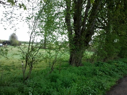ironmongers, Cardiff University, Loughborough, EPSRC