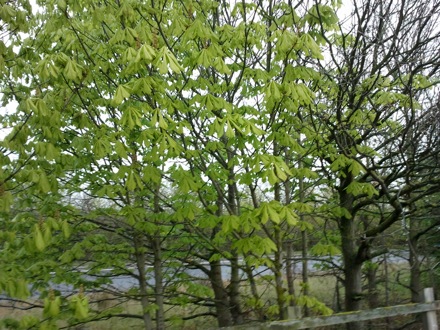 ironmongers, Cardiff University, Loughborough, EPSRC