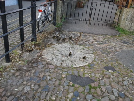 Lucy Fielding, Dawn retiring, Mathew Peet, Torrin MacKay, Sanbao Lin, Steve Ooi, Shinichi Nambu, Hector Pous, Ducklings,Graham Pullan from the Engineering Department, Mathew Peet, Yoshiaki Tsukada (Head of Innovation and Technology at Mitsubishi Heavy Industries, and Hikaru Tashiro from MHI