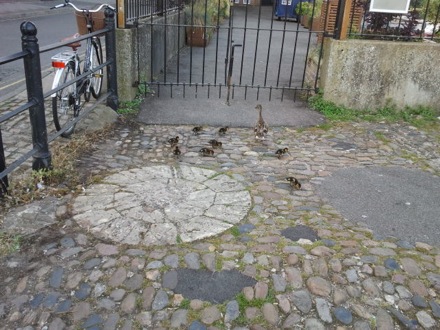 Lucy Fielding, Dawn retiring, Mathew Peet, Torrin MacKay, Sanbao Lin, Steve Ooi, Shinichi Nambu, Hector Pous, Ducklings,Graham Pullan from the Engineering Department, Mathew Peet, Yoshiaki Tsukada (Head of Innovation and Technology at Mitsubishi Heavy Industries, and Hikaru Tashiro from MHI