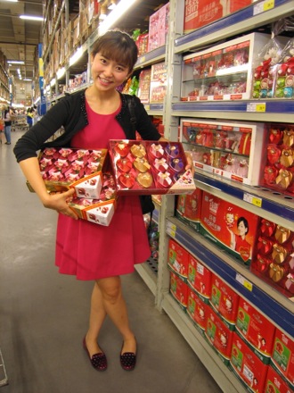 Amir Shirzadi,Wuhan University of Science and Technology, 100 Talents Programme, China