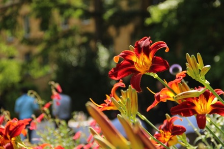 Adventures in the Physical Metallurgy of Steels,APMS,University of Cambridge, PT Group, phase transformations, steels