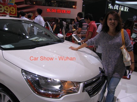 Amir Shirzadi, Wuhan University of Science and Technology, phase transformations and complex properties research group